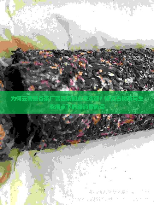 为何云南景谷茶厂普洱茶如此受欢迎？探究古树茶与生态痛点下的新消费热词