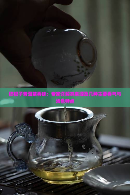 碎银子普洱茶香味：专家详解其来源及几种主要香气与汤色特点