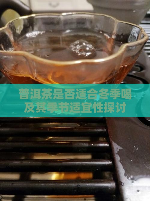 普洱茶是否适合冬季喝及其季节适宜性探讨