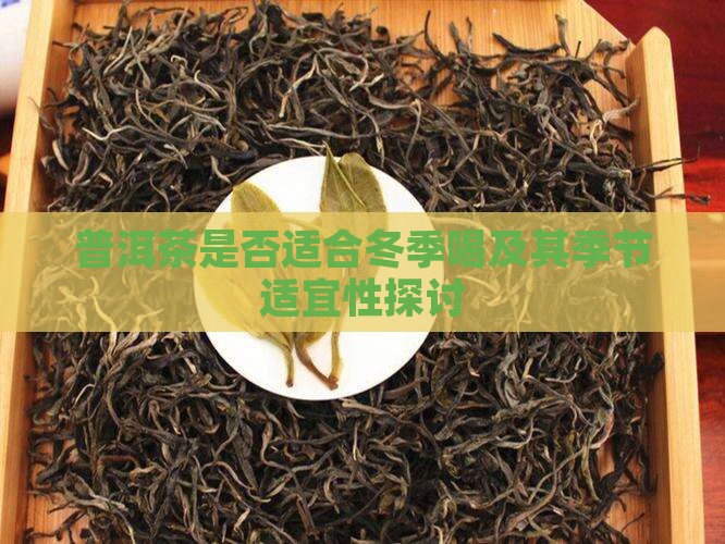 普洱茶是否适合冬季喝及其季节适宜性探讨