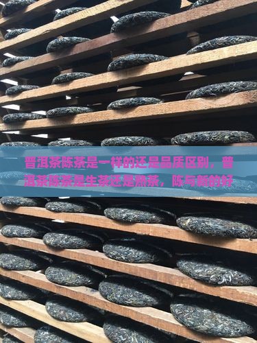 普洱茶陈茶是一样的还是品质区别，普洱茶陈茶是生茶还是熟茶，陈与新的好处对比