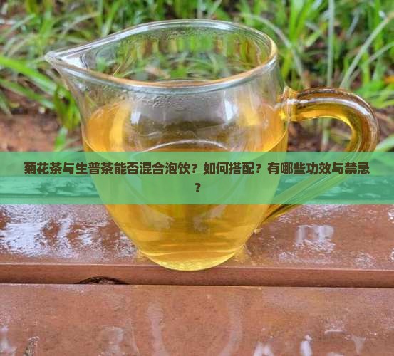 菊花茶与生普茶能否混合泡饮？如何搭配？有哪些功效与禁忌？