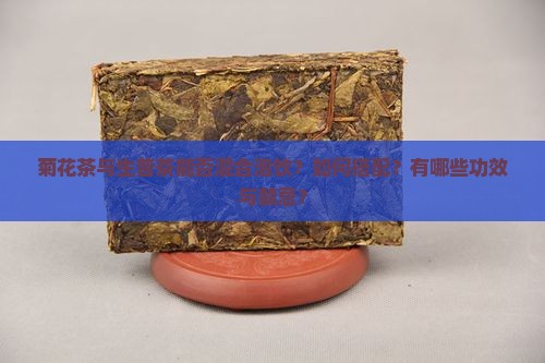 菊花茶与生普茶能否混合泡饮？如何搭配？有哪些功效与禁忌？