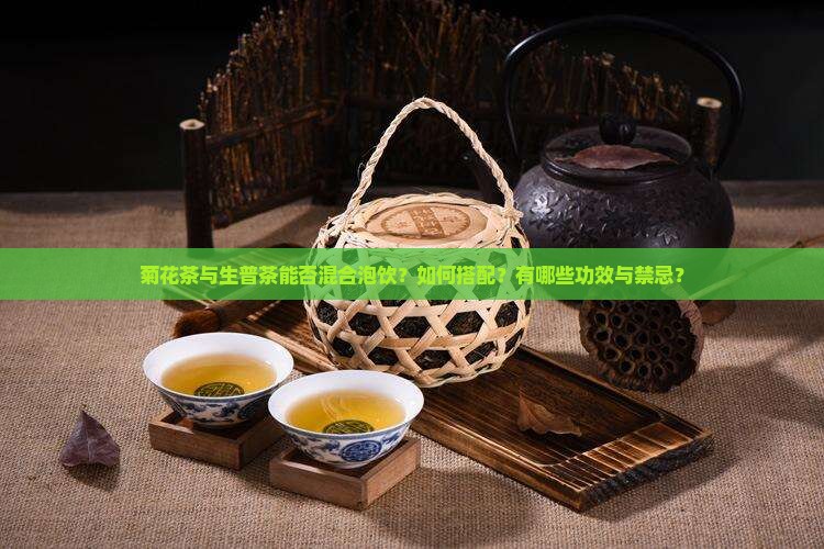 菊花茶与生普茶能否混合泡饮？如何搭配？有哪些功效与禁忌？