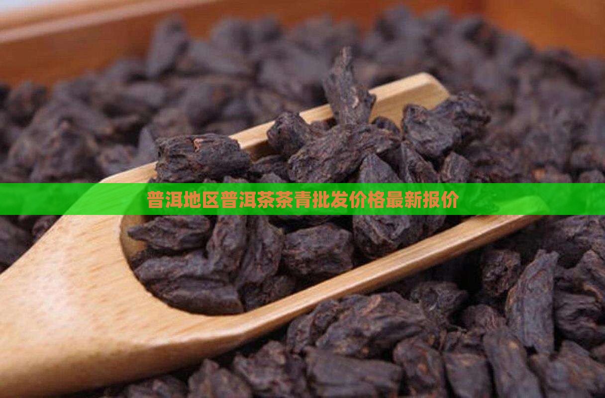 普洱地区普洱茶茶青批发价格最新报价