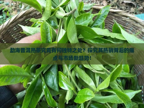 勐海普洱熟茶究竟有何独特之处？探究其热销背后的痛点与市场新趋势！