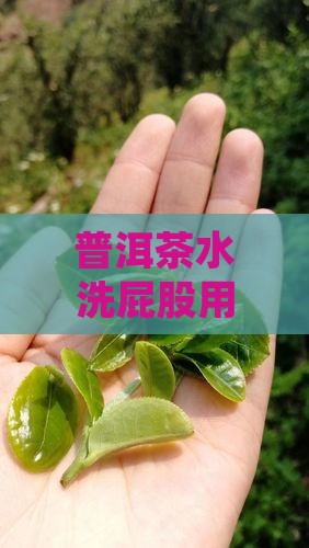 普洱茶水洗屁股用什么茶洗脸也有哪些好处
