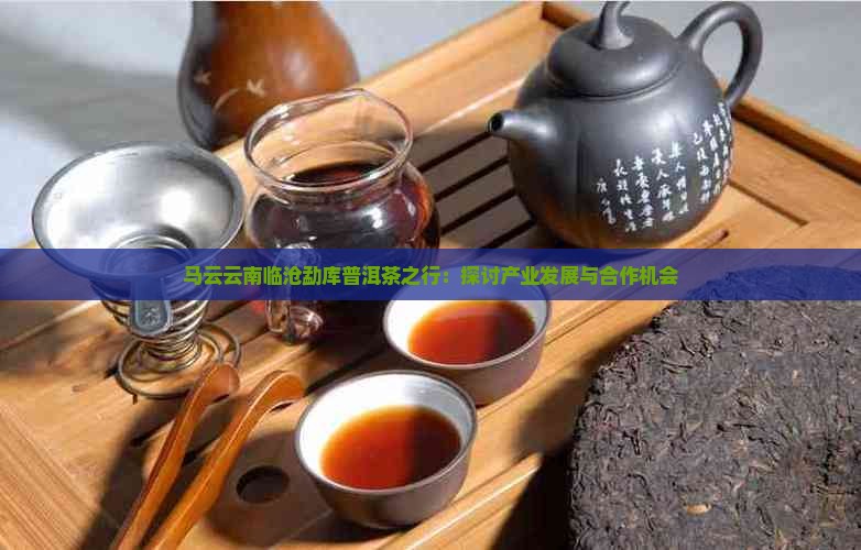 马云云南临沧勐库普洱茶之行：探讨产业发展与合作机会