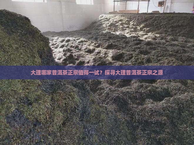 大理哪家普洱茶正宗值得一试？探寻大理普洱茶正宗之源