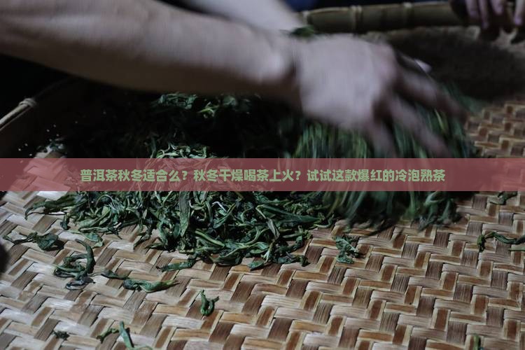 普洱茶秋冬适合么？秋冬干燥喝茶上火？试试这款爆红的冷泡熟茶