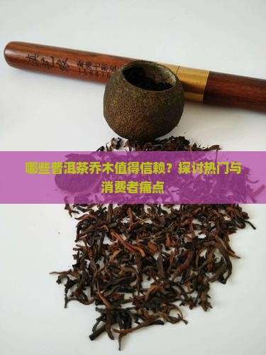 哪些普洱茶乔木值得信赖？探讨热门与消费者痛点