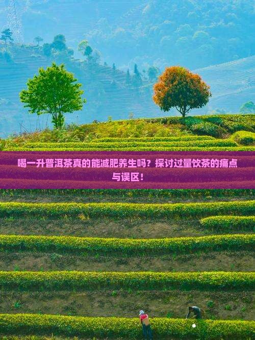 喝一升普洱茶真的能减肥养生吗？探讨过量饮茶的痛点与误区！