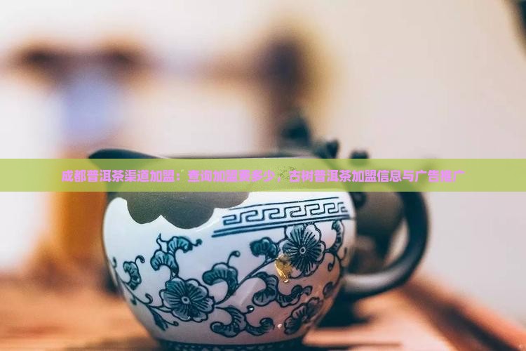 成都普洱茶渠道加盟：查询加盟费多少，古树普洱茶加盟信息与广告推广