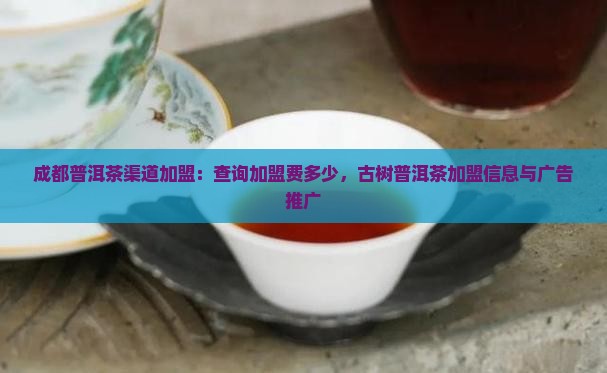 成都普洱茶渠道加盟：查询加盟费多少，古树普洱茶加盟信息与广告推广