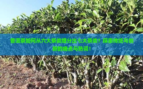 普洱茶如何从六大茶类细分出七大茶类？探索传统与创新的痛点与热词！