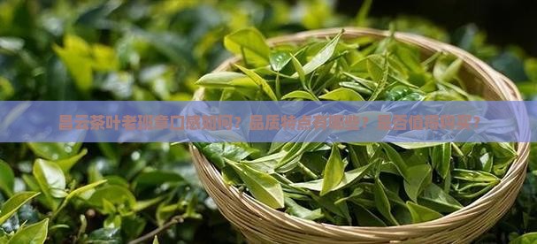 昌云茶叶老班章口感如何？品质特点有哪些？是否值得购买？