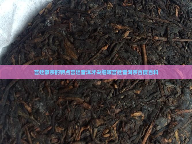 宫廷散茶的特点宫廷普洱牙尖细嫩宫廷普洱茶百度百科