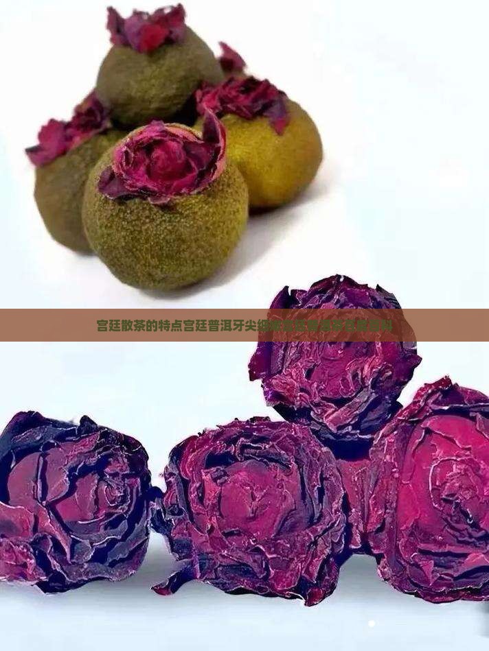 宫廷散茶的特点宫廷普洱牙尖细嫩宫廷普洱茶百度百科