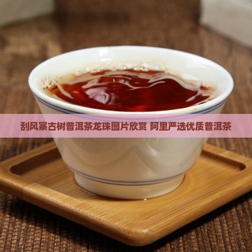 刮风寨古树普洱茶龙珠图片欣赏 阿里严选优质普洱茶