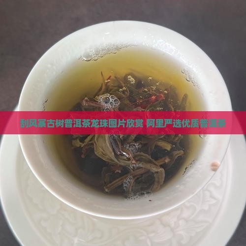 刮风寨古树普洱茶龙珠图片欣赏 阿里严选优质普洱茶