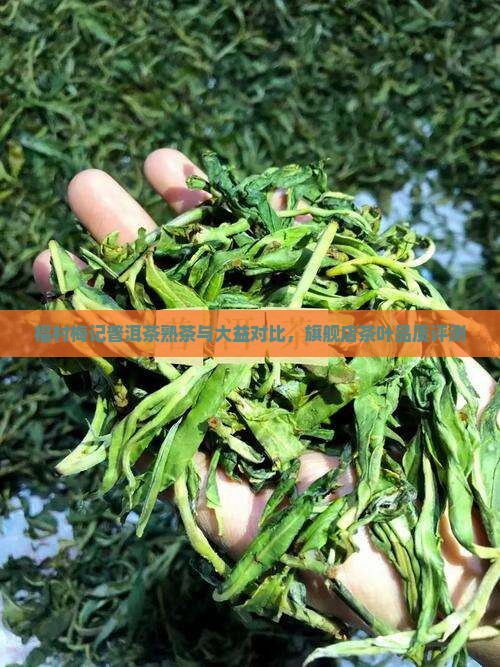 福村梅记普洱茶熟茶与大益对比，旗舰店茶叶品质评测