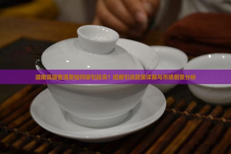 湖南高端普洱茶如何吸引投资？招商引资政策详解与市场前景分析