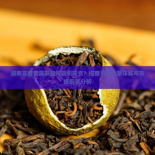 湖南高端普洱茶如何吸引投资？招商引资政策详解与市场前景分析