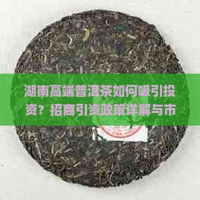 湖南高端普洱茶如何吸引投资？招商引资政策详解与市场前景分析