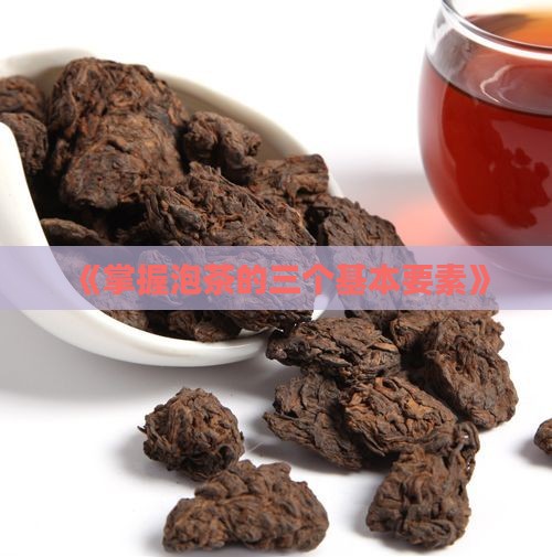 《掌握泡茶的三个基本要素》