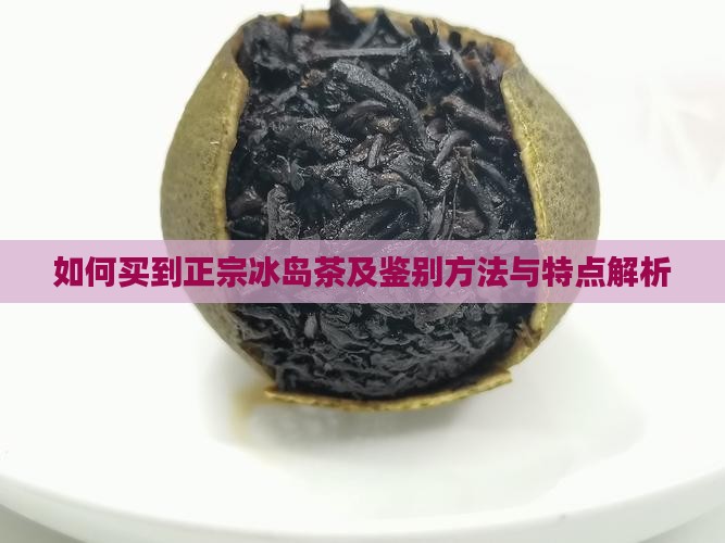 如何买到正宗冰岛茶及鉴别方法与特点解析