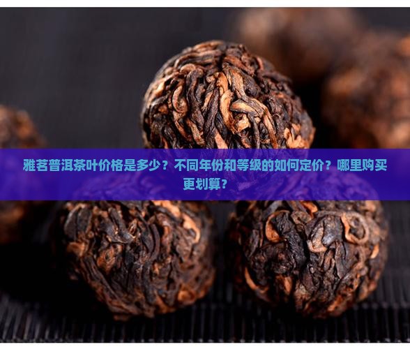 雅茗普洱茶叶价格是多少？不同年份和等级的如何定价？哪里购买更划算？