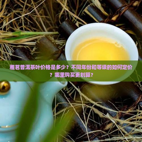 雅茗普洱茶叶价格是多少？不同年份和等级的如何定价？哪里购买更划算？