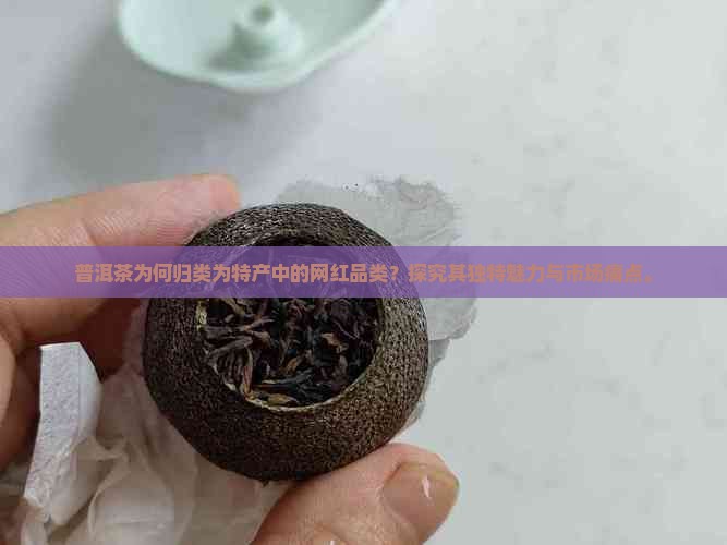 普洱茶为何归类为特产中的网红品类？探究其独特魅力与市场痛点。