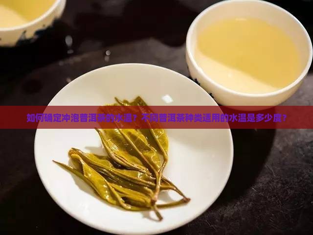 如何确定冲泡普洱茶的水温？不同普洱茶种类适用的水温是多少度？