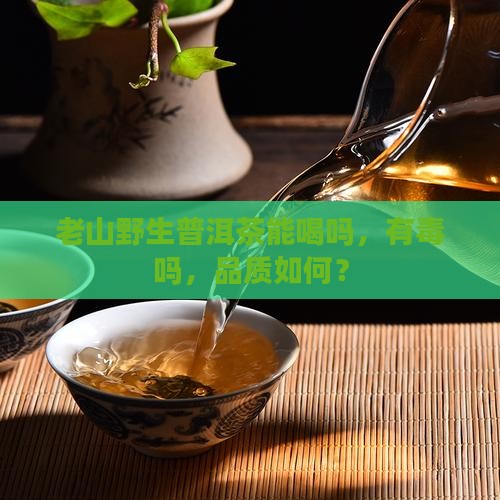 老山野生普洱茶能喝吗，有毒吗，品质如何？