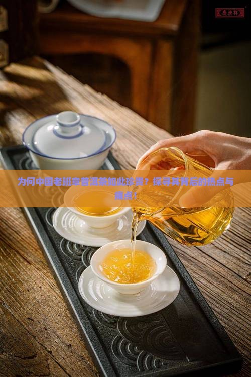 为何中国老班章普洱茶如此珍贵？探寻其背后的热点与痛点！