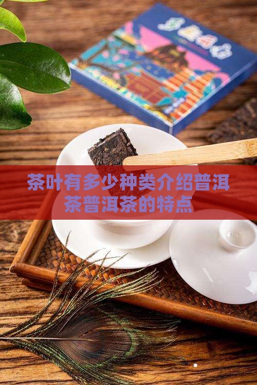 茶叶有多少种类介绍普洱茶普洱茶的特点