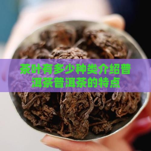 茶叶有多少种类介绍普洱茶普洱茶的特点