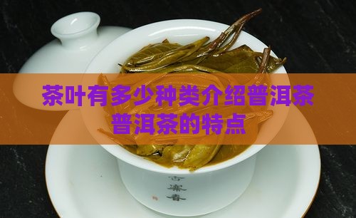 茶叶有多少种类介绍普洱茶普洱茶的特点