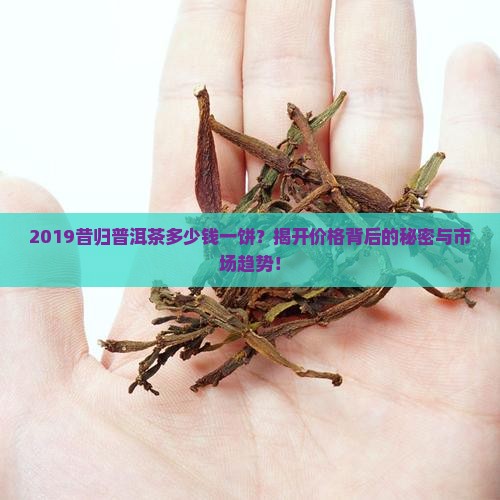2019昔归普洱茶多少钱一饼？揭开价格背后的秘密与市场趋势！