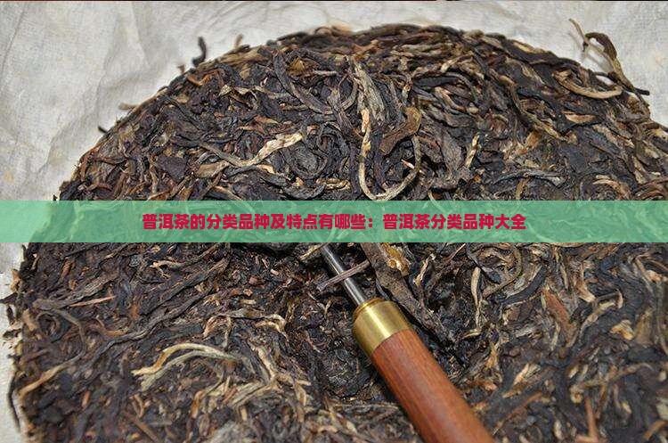 普洱茶的分类品种及特点有哪些：普洱茶分类品种大全