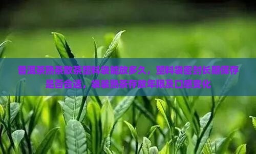 普洱茶熟茶散茶塑料袋能放多久，塑料袋密封长期保存是否合适，袋装熟茶存放年限及口感变化