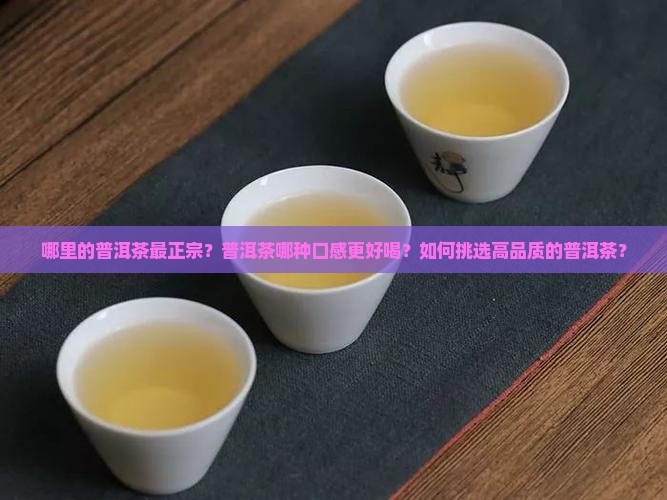 哪里的普洱茶最正宗？普洱茶哪种口感更好喝？如何挑选高品质的普洱茶？