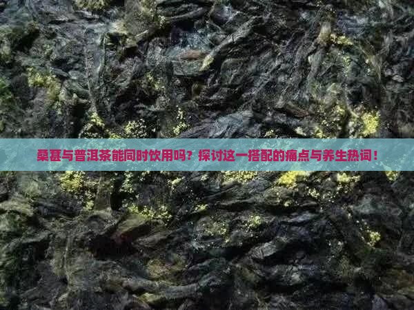 桑葚与普洱茶能同时饮用吗？探讨这一搭配的痛点与养生热词！