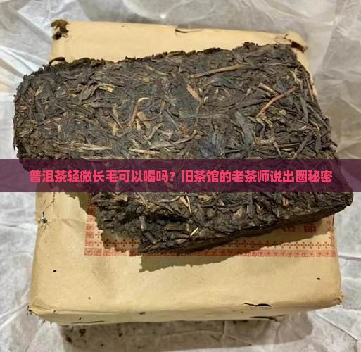 普洱茶轻微长毛可以喝吗？旧茶馆的老茶师说出圈秘密