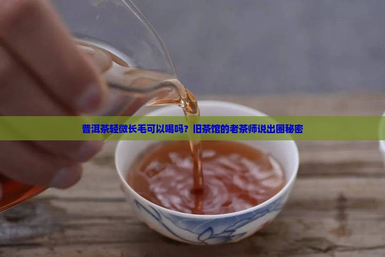 普洱茶轻微长毛可以喝吗？旧茶馆的老茶师说出圈秘密