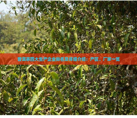 普洱茶四大生产企业排名及详细介绍：产区、厂家一览