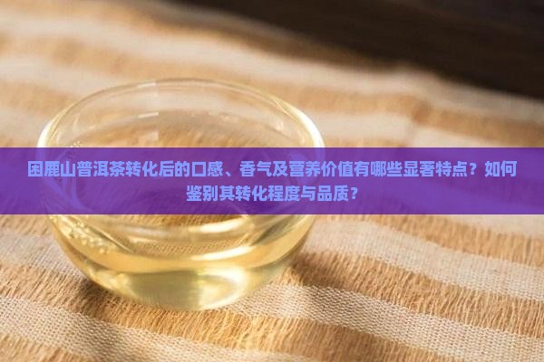 困鹿山普洱茶转化后的口感、香气及营养价值有哪些显著特点？如何鉴别其转化程度与品质？
