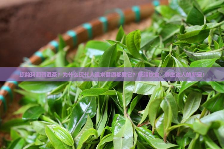 琼韵玛润普洱茶？为什么现代人追求健康都爱它？低脂饮食、养生达人的新宠！