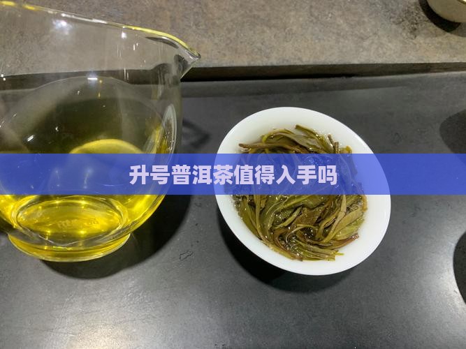 升号普洱茶值得入手吗